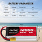 HRB 6S 22.8V 12000mAh 60C Lipo Battery